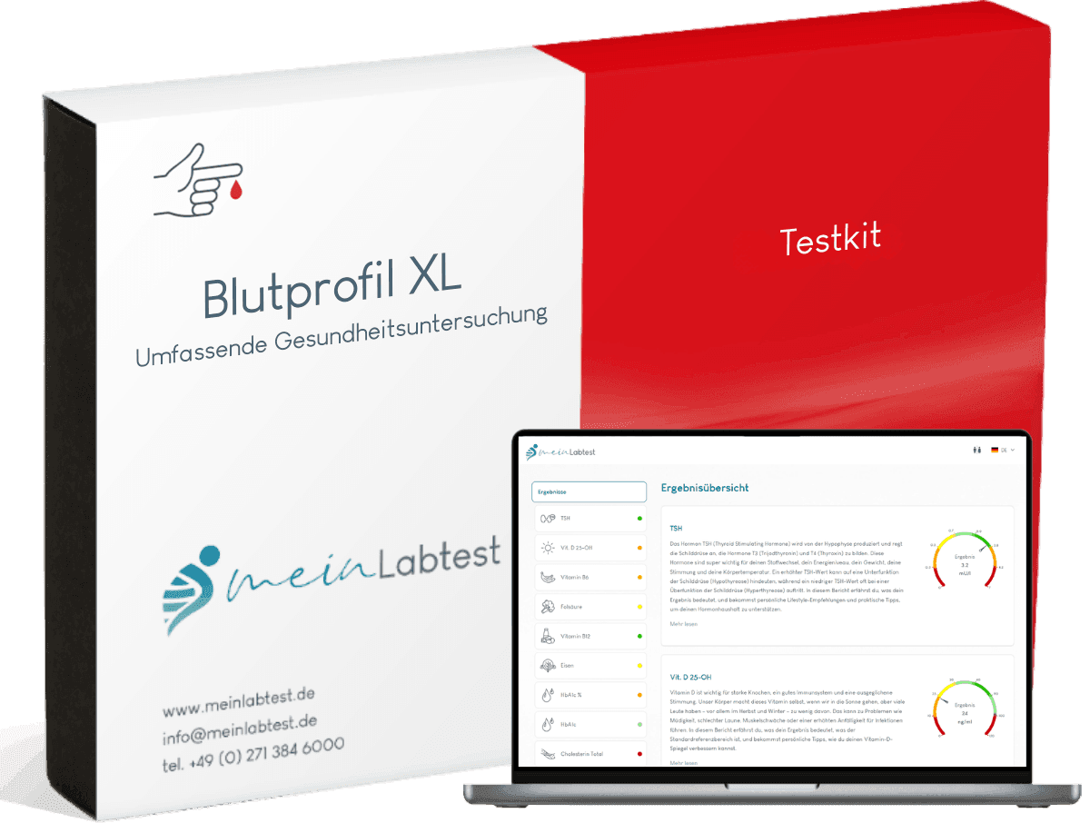 Blutprofil XL — Testkit